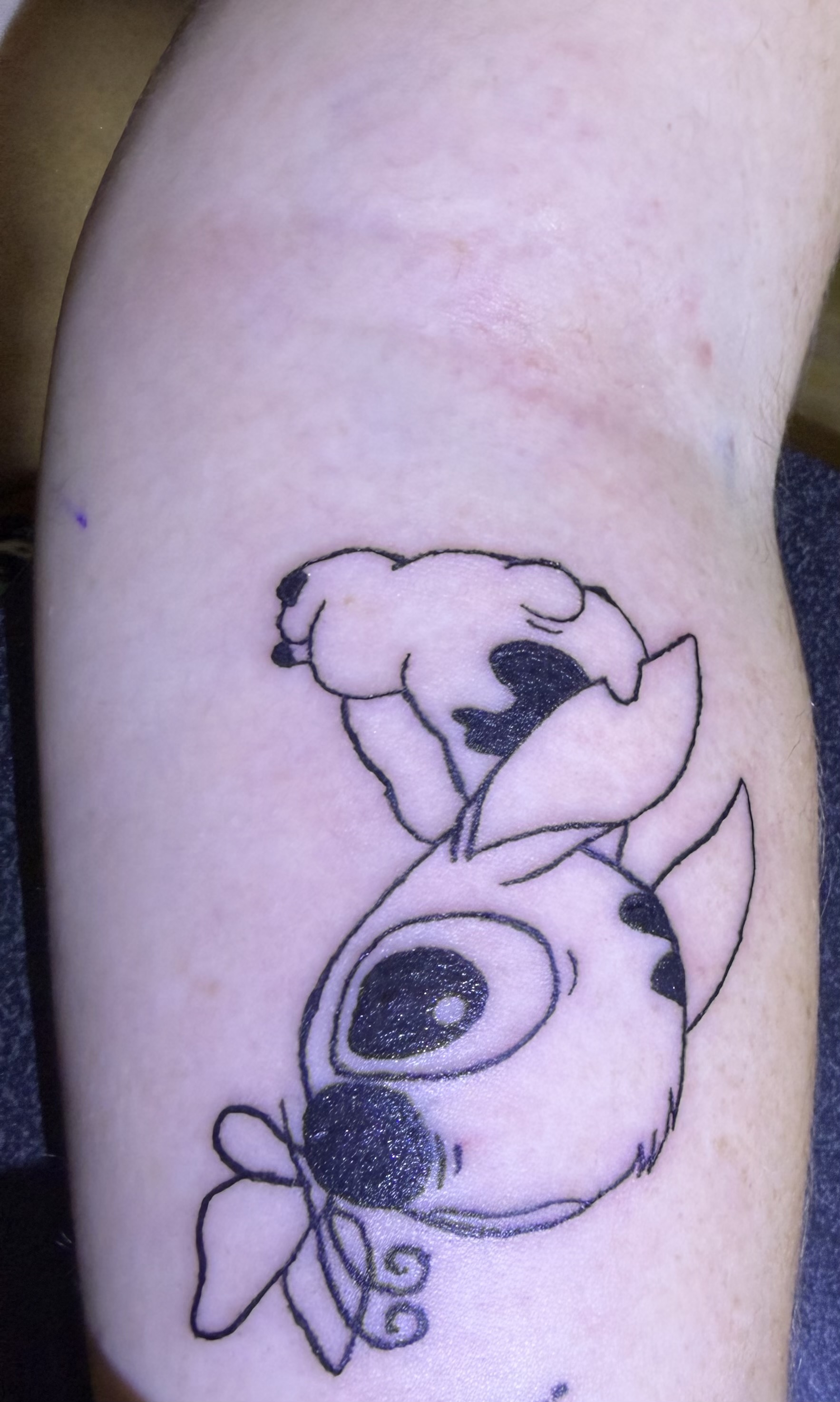Stitch